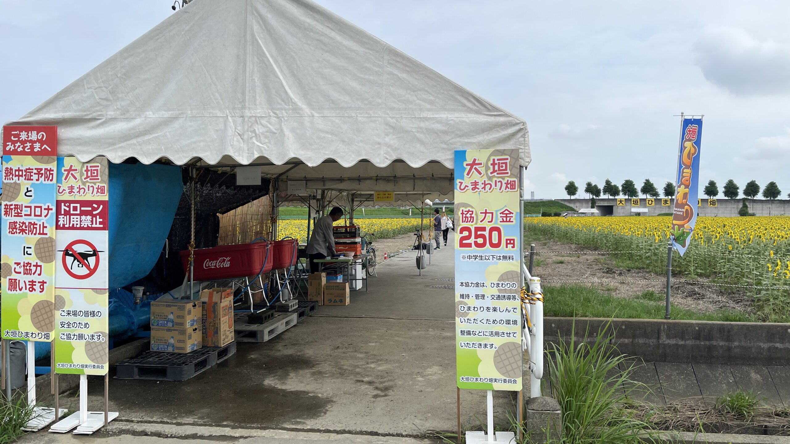 大垣ひまわり畑のテントの写真