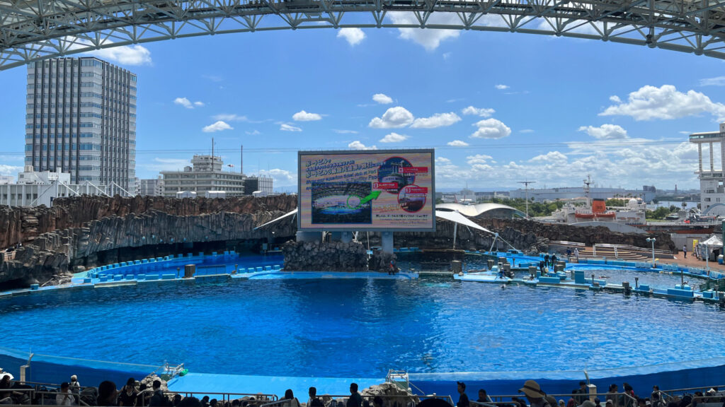 スタジアムの写真
