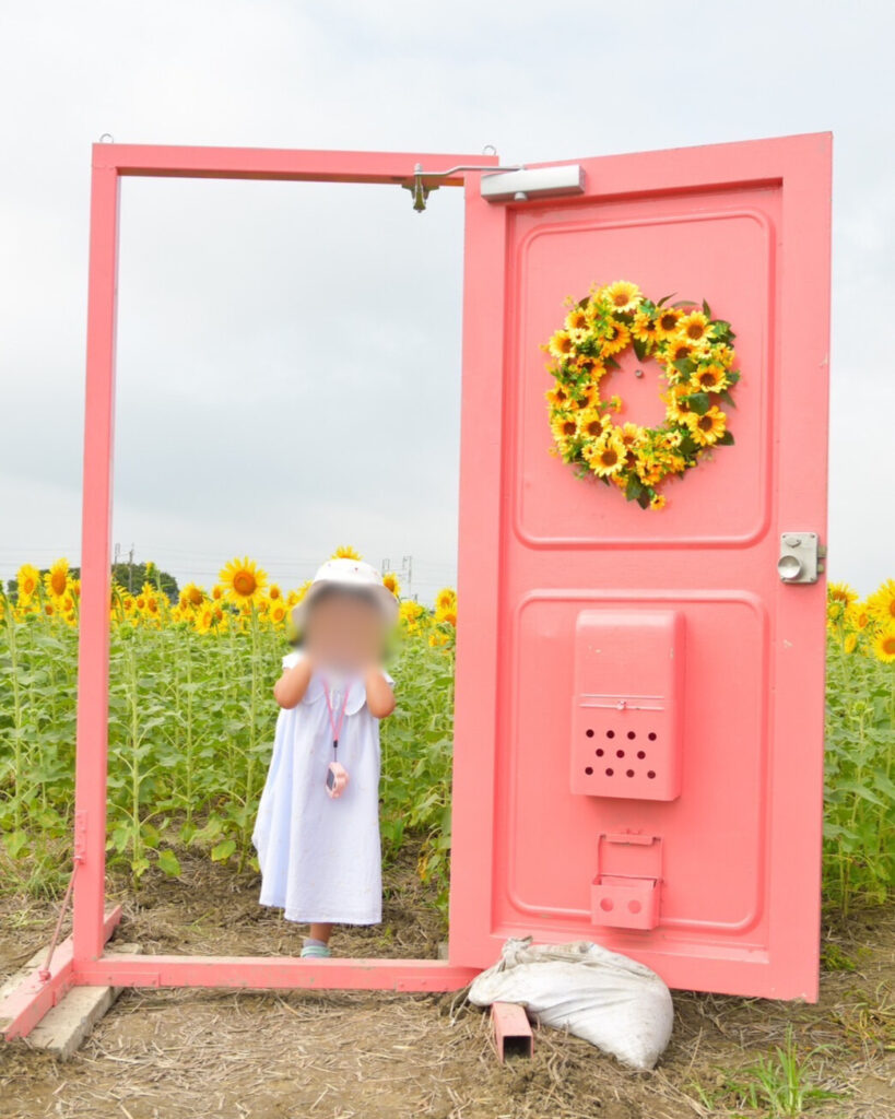 ピンクのドアの写真