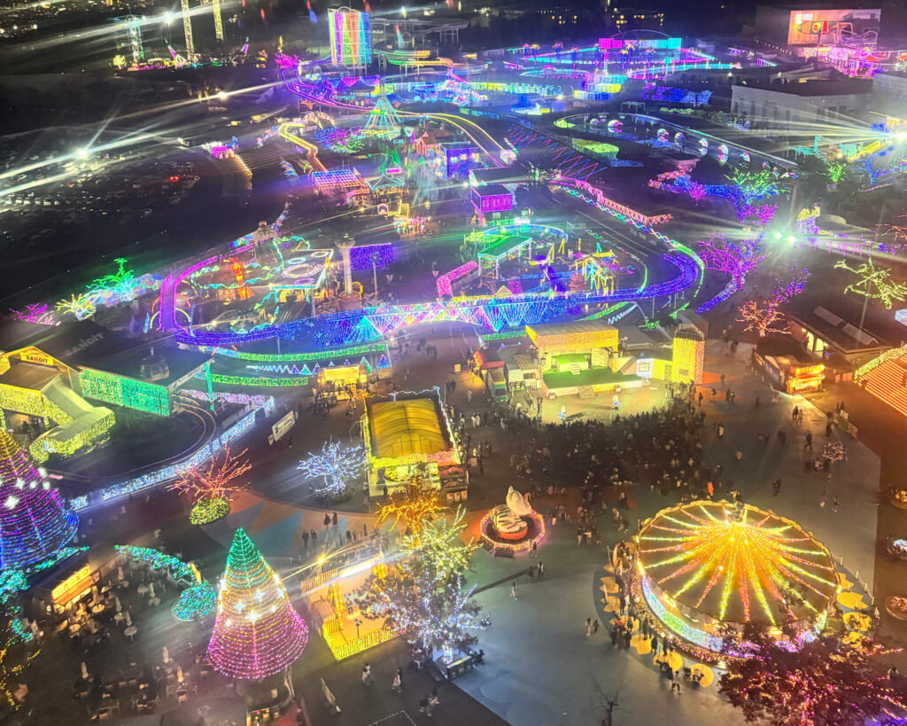 観覧車からの夜の写真