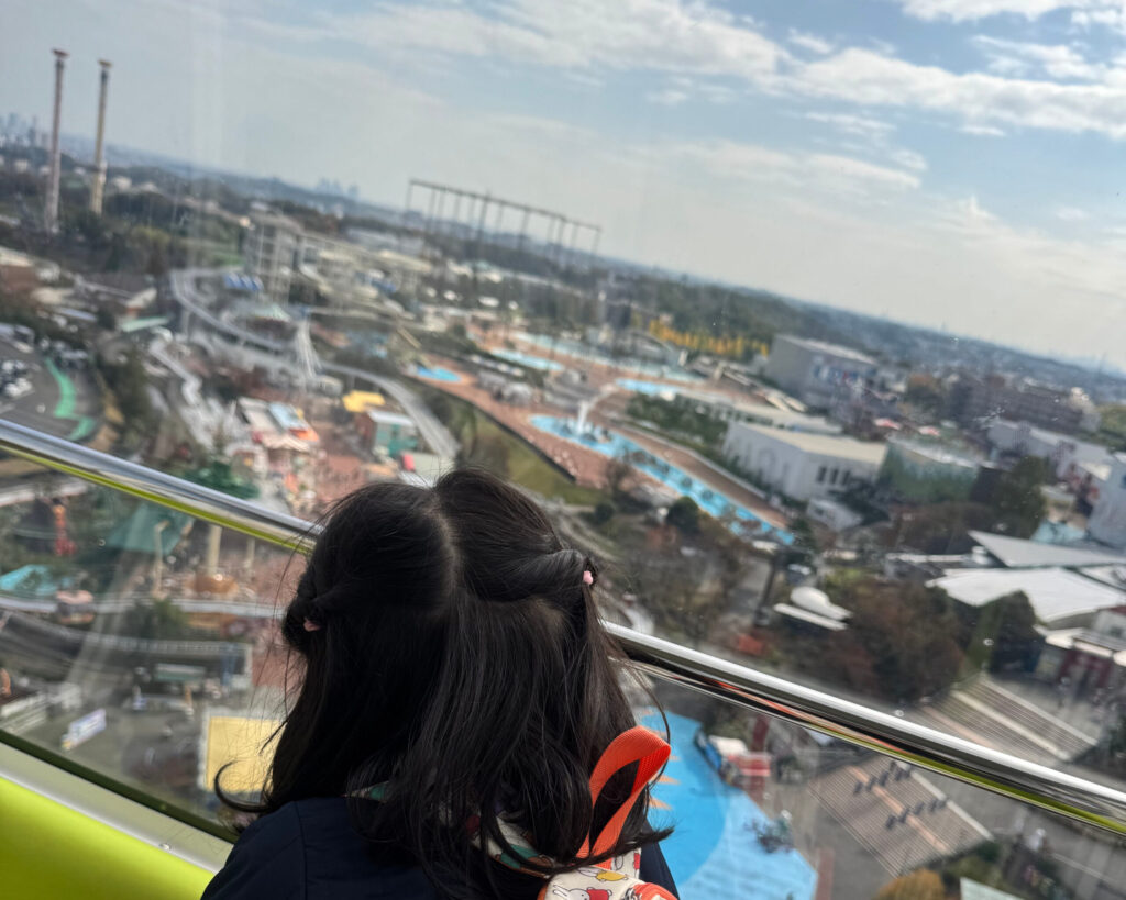 観覧車からの昼間の写真