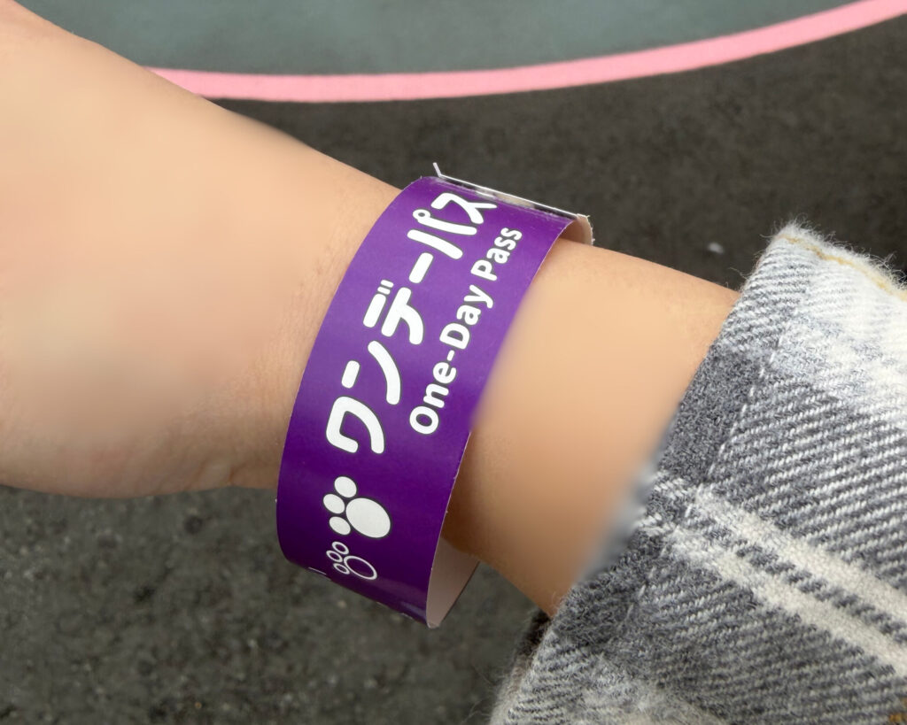 ワンデーパスのリストバンドの写真