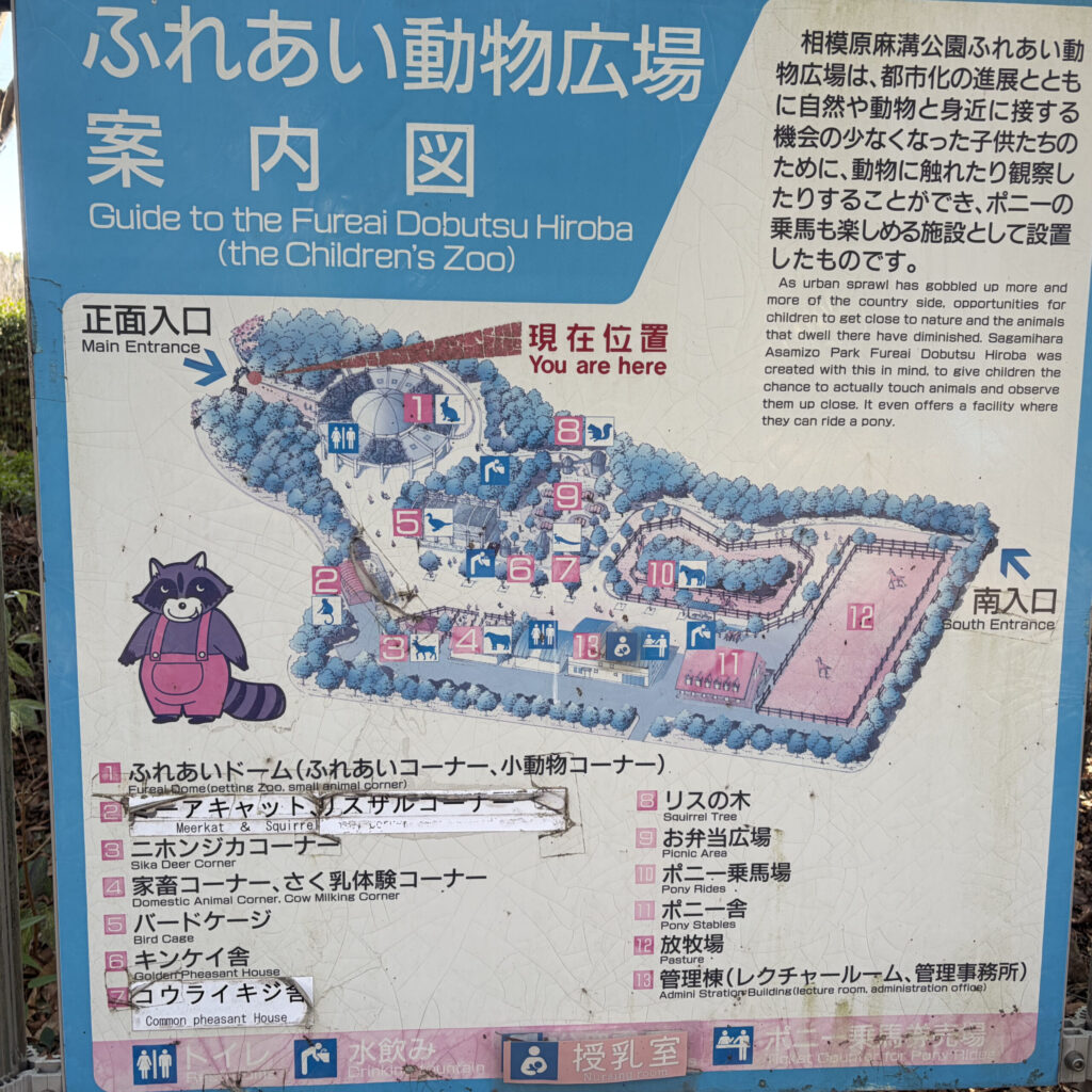 動物広場案内図の写真