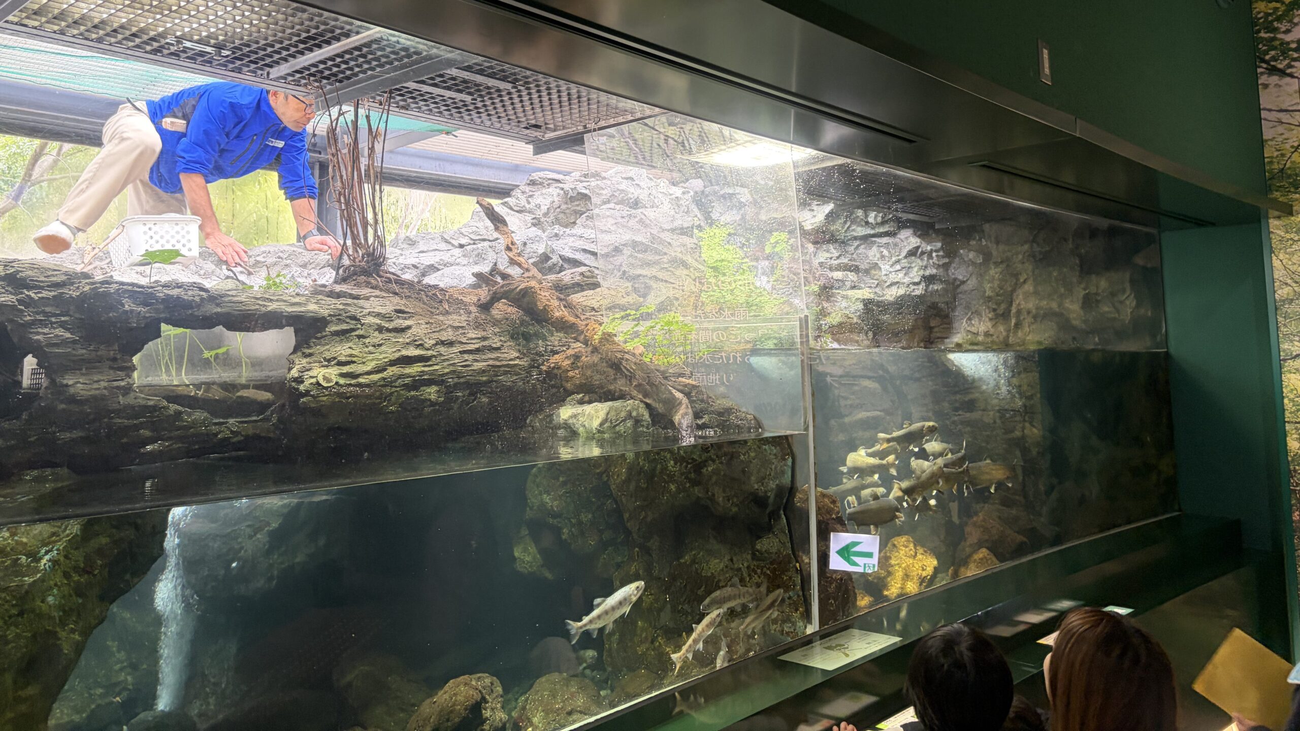 おさかなごはんタイムの写真