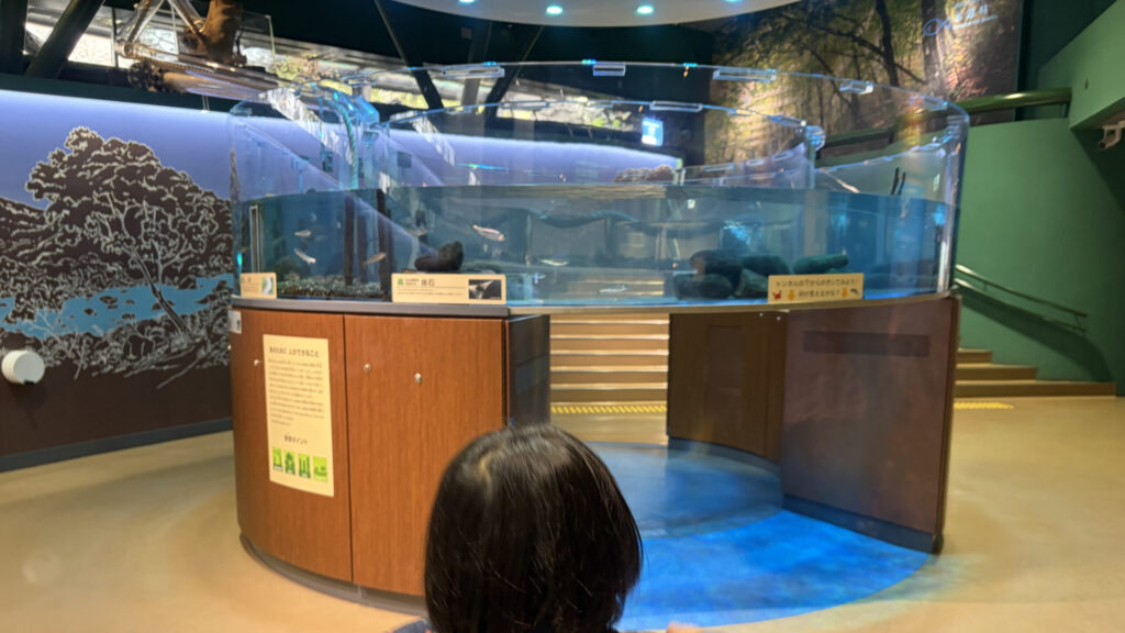 トンネル水槽の写真