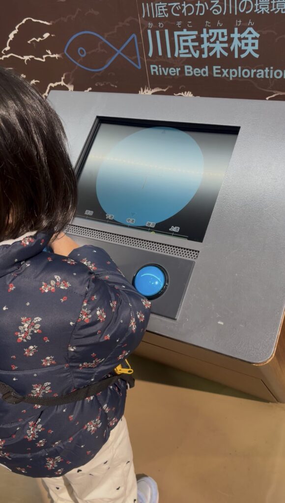 川底探検の写真
