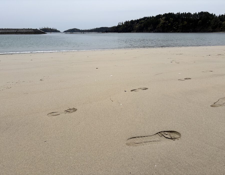 田中浜の足跡の写真