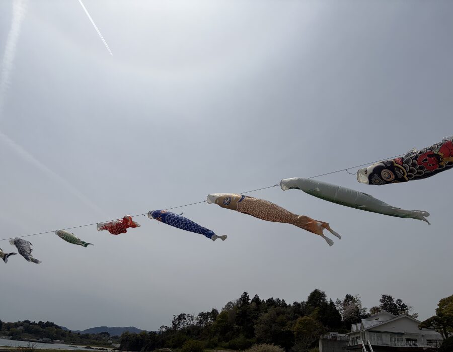 鯉のぼりの写真