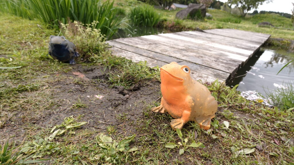池の写真